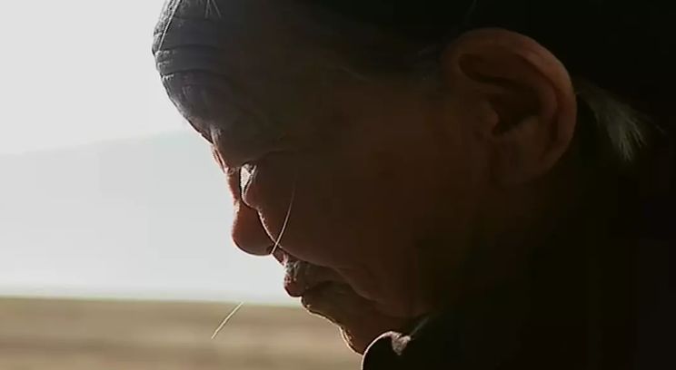 當(dāng)你發(fā)朋友圈的時候，他已經(jīng)給父母拍紀(jì)錄片了