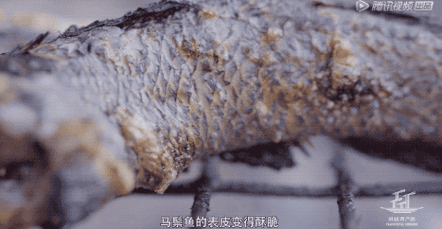 《舌尖上的中國》導(dǎo)演新作，每集只有10分鐘，饞哭我了！ 