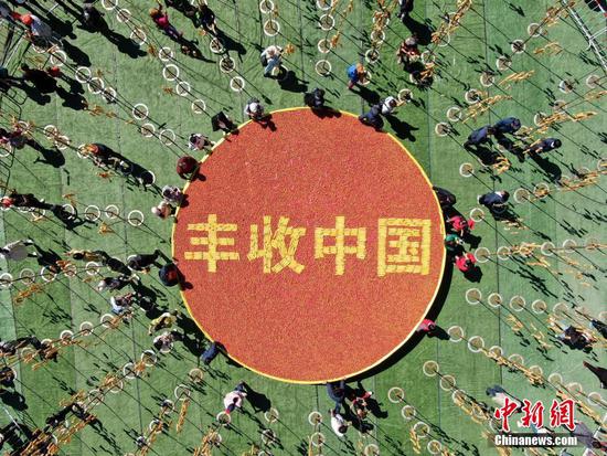 竹竿上“長”油條，洛陽民眾“摘”油條慶豐收