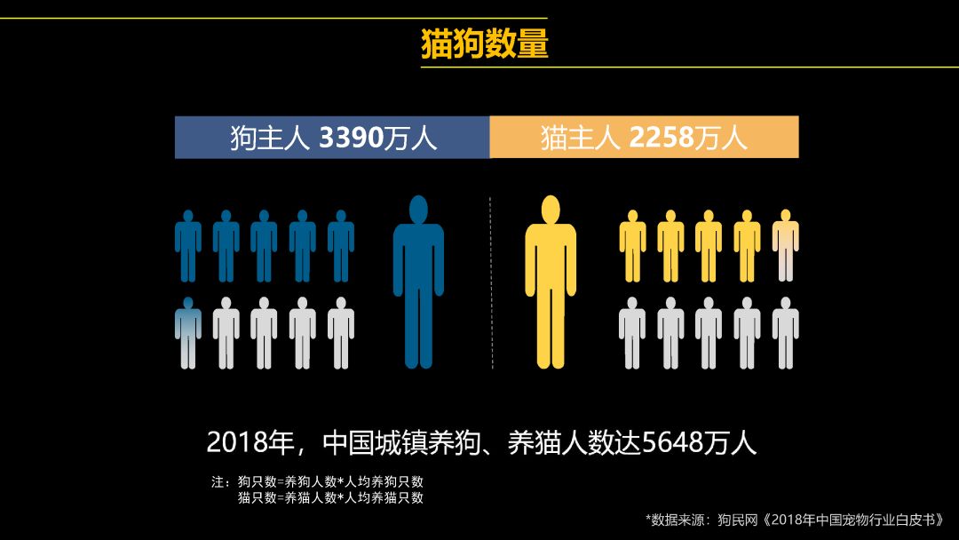 中國首只克隆貓回家了，你會花 38 萬跟去世的寵物再續(xù)前緣嗎？