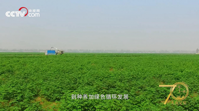 人民記憶·70年70城|記住開封蘭考，焦裕祿精神的發(fā)源地