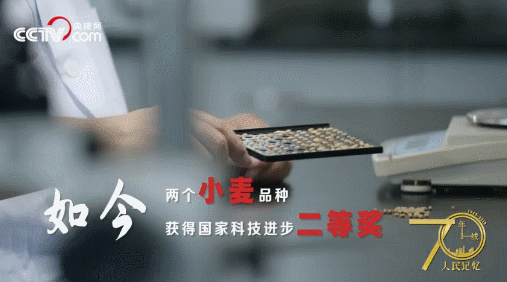 記住蘭考！央視網(wǎng)全景再現(xiàn)蘭考，聽聽親歷者的心聲