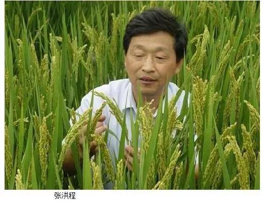 我們有多少位知青出身的兩院院士？ 