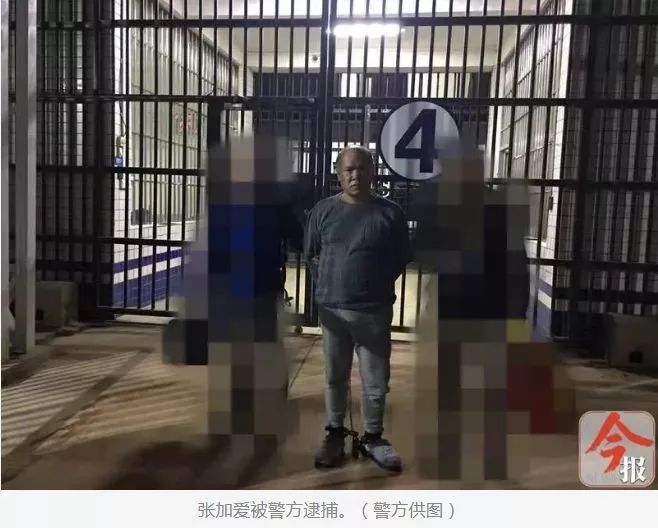 年底陸續(xù)領(lǐng)死刑的“黑老大”：多人身背命案、背后有“保護(hù)傘”