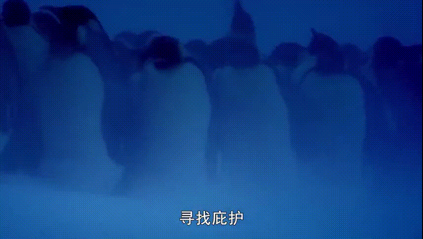 極寒下的溫情：從九死一生到堅(jiān)強(qiáng)無(wú)畏，不過(guò)是爸媽不斷逼了我一把 