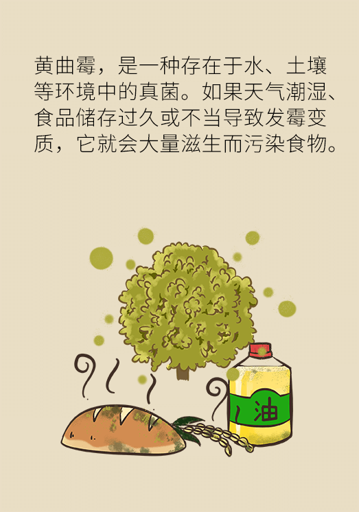 發(fā)霉食物不能吃安全糧油怎么選？