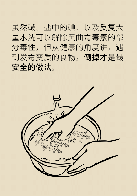 發(fā)霉食物不能吃安全糧油怎么選？