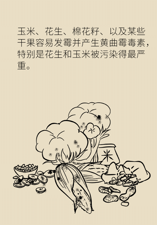 發(fā)霉食物不能吃安全糧油怎么選？