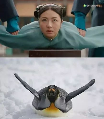 都2020年了，這種辣眼劇怎么還沒滅絕 