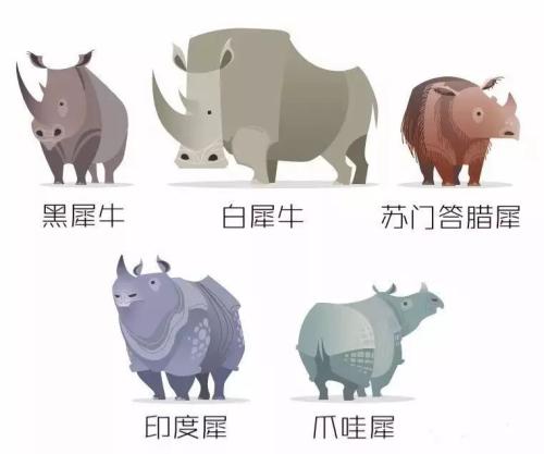滅絕的不只長(zhǎng)江白鱘，在中國(guó)，這些物種也已消失…… 