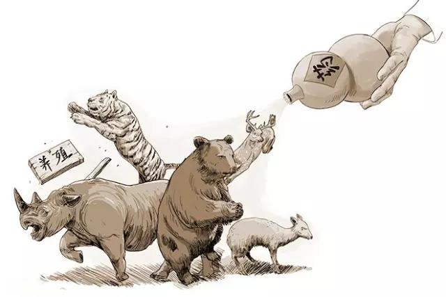 滅絕的不只長(zhǎng)江白鱘，在中國(guó)，這些物種也已消失…… 
