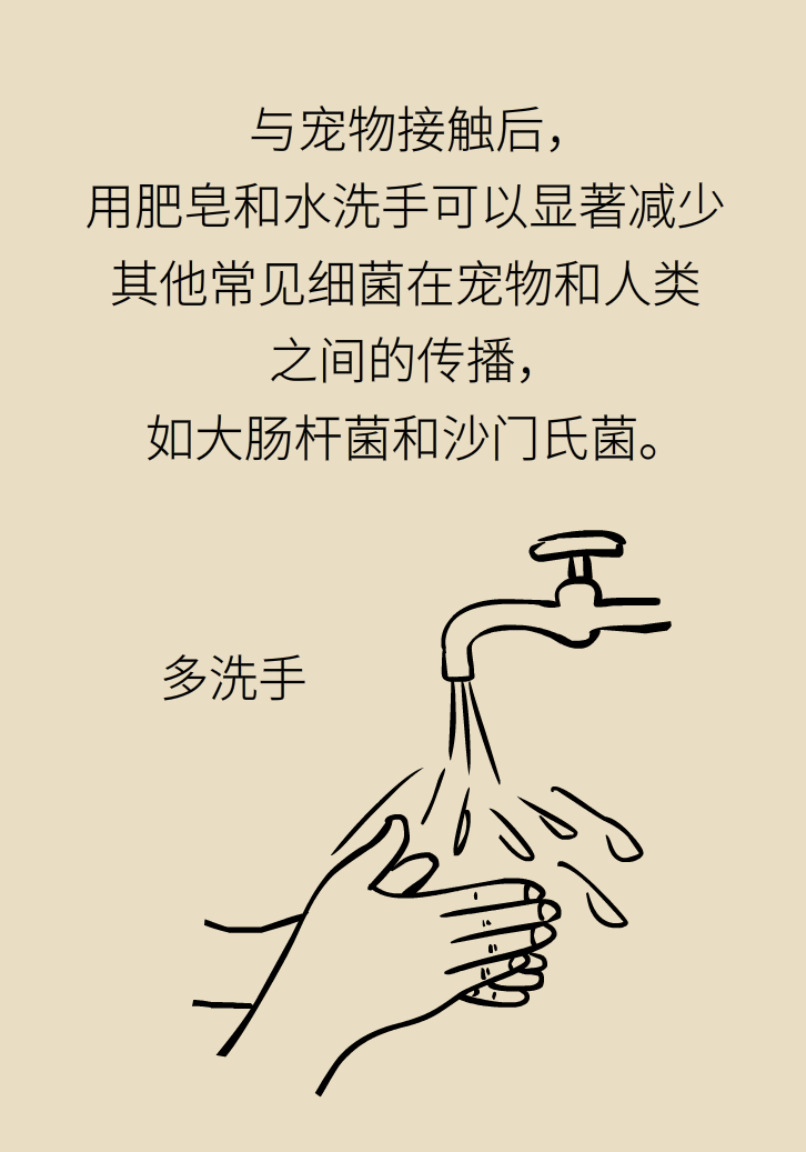 寵物也會感染病毒？