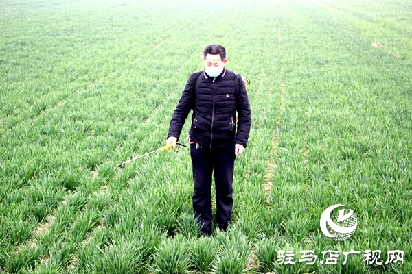 汝南縣古塔街道疫情防控時期春耕生產(chǎn)有門道