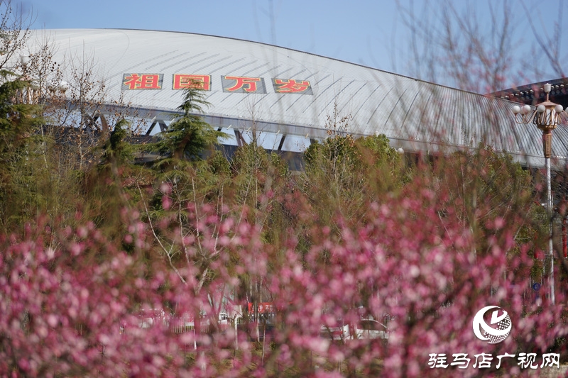 戰(zhàn)疫，熱火朝天