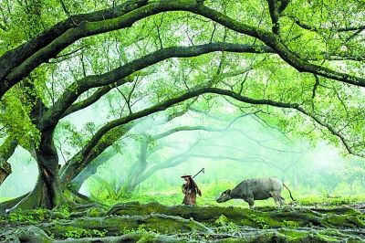 農(nóng)業(yè)專家：麥田管理正當(dāng)時(shí)