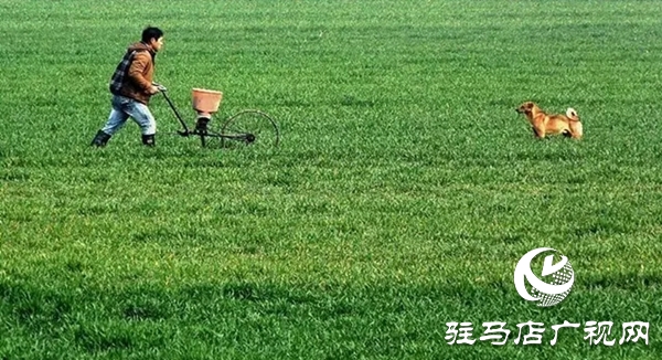 上蔡：“四項(xiàng)措施”保春耕促生產(chǎn)