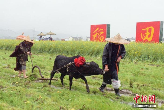 春分習俗知多少？流行“豎蛋”游戲 校對度量衡器具