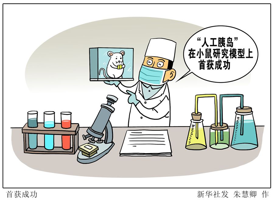 “人工胰島”是否可行？科學(xué)家在小鼠研究模型上首獲成功