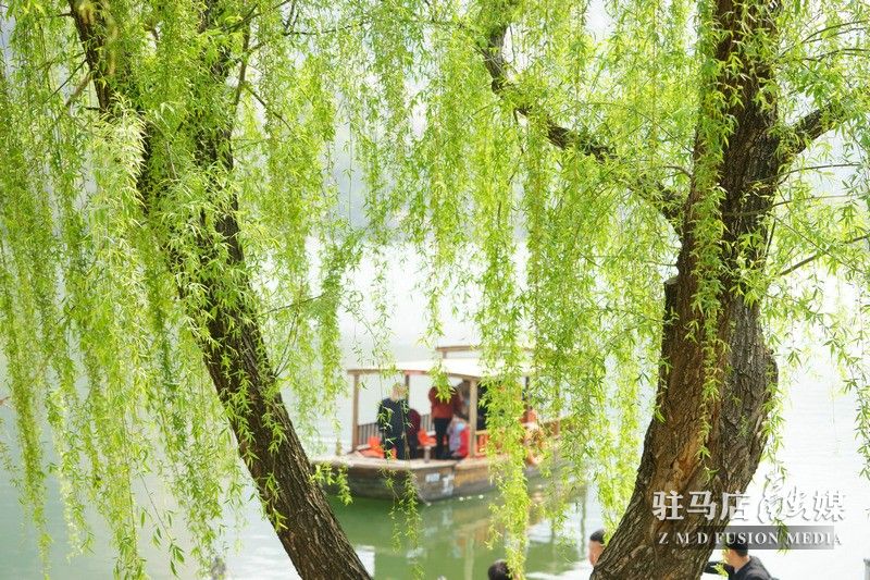 終于等到你，美麗大駐馬