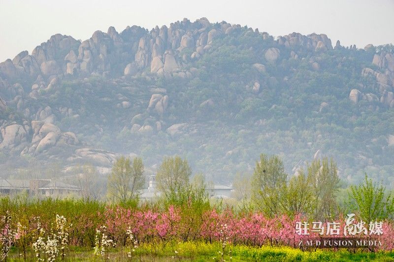 終于等到你，美麗大駐馬