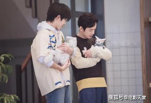 當國綜不抄襲，當謝娜不聒噪，不撕的國產(chǎn)綜藝看什么？ 