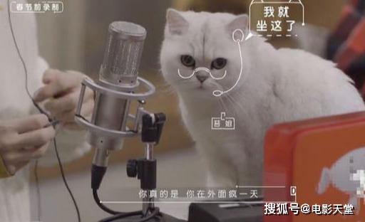 當國綜不抄襲，當謝娜不聒噪，不撕的國產(chǎn)綜藝看什么？ 