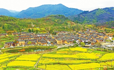 從“云賞花”到“進農家” 春回大別山“村游”花開時