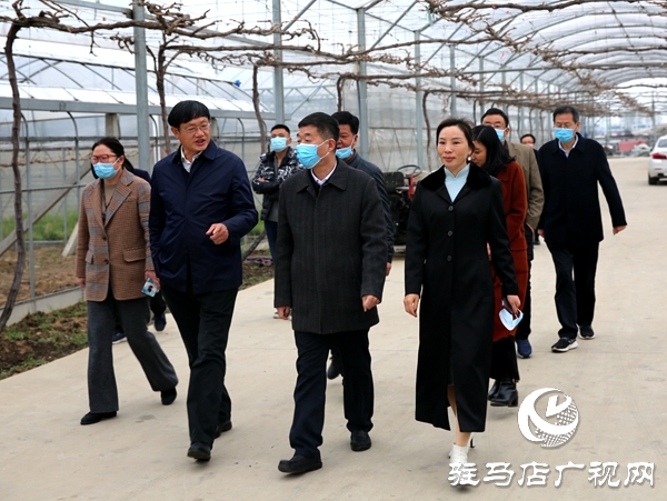 副市長(zhǎng)劉曉文到遂平縣調(diào)研農(nóng)產(chǎn)品生產(chǎn)運(yùn)營(yíng)情況