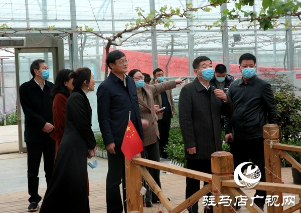 副市長(zhǎng)劉曉文到遂平縣調(diào)研農(nóng)產(chǎn)品生產(chǎn)運(yùn)營(yíng)情況