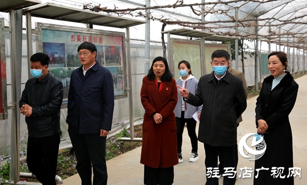 副市長(zhǎng)劉曉文到遂平縣調(diào)研農(nóng)產(chǎn)品生產(chǎn)運(yùn)營(yíng)情況