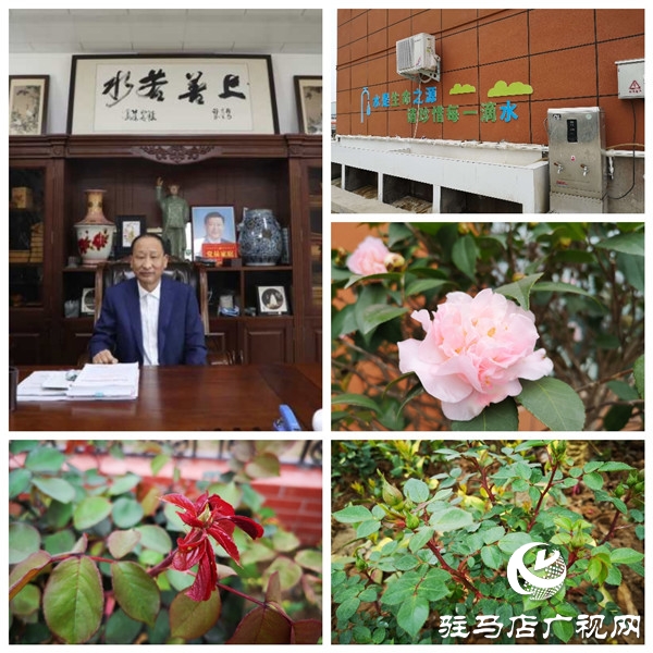 駐馬店大海商砼花園工廠——既要金山銀山，又要綠水青山