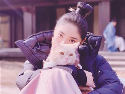 寵物演員參演劇集，絕不是走過場 