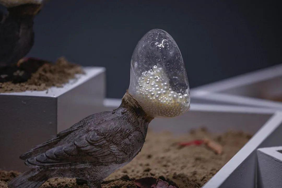 85后中國(guó)姑娘玩玻璃震驚日本，斬獲藝術(shù)大獎(jiǎng)，驚艷數(shù)萬(wàn)網(wǎng)友：玻璃還能這么玩？ 