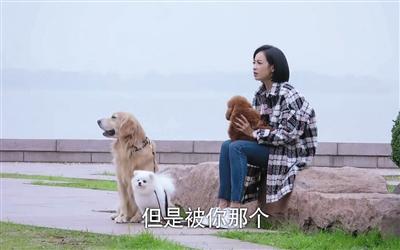 寵物演員參演劇集，絕不是走過場 