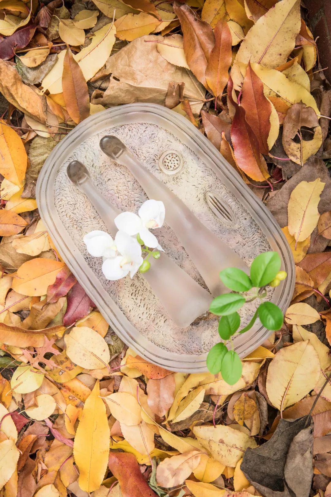 85后中國(guó)姑娘玩玻璃震驚日本，斬獲藝術(shù)大獎(jiǎng)，驚艷數(shù)萬(wàn)網(wǎng)友：玻璃還能這么玩？ 