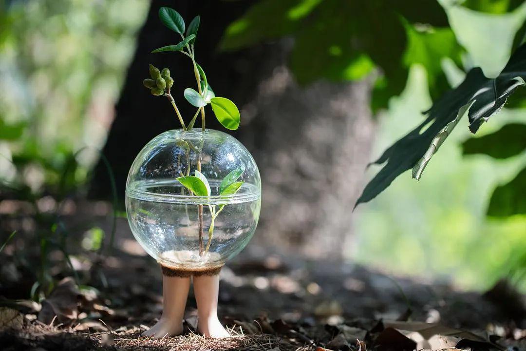 85后中國(guó)姑娘玩玻璃震驚日本，斬獲藝術(shù)大獎(jiǎng)，驚艷數(shù)萬(wàn)網(wǎng)友：玻璃還能這么玩？ 