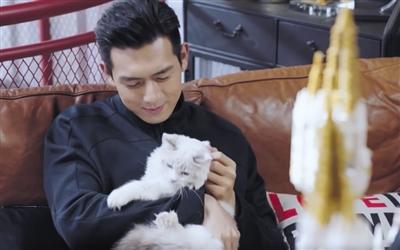 寵物演員參演劇集，絕不是走過場 