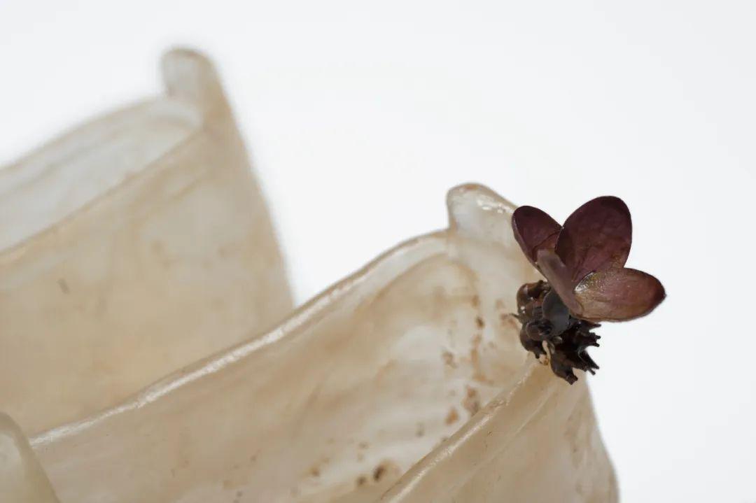 85后中國(guó)姑娘玩玻璃震驚日本，斬獲藝術(shù)大獎(jiǎng)，驚艷數(shù)萬(wàn)網(wǎng)友：玻璃還能這么玩？ 