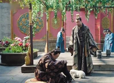 寵物演員參演劇集，絕不是走過場 