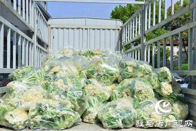 上蔡縣：文明單位伸援手，以購(gòu)代捐解民憂
