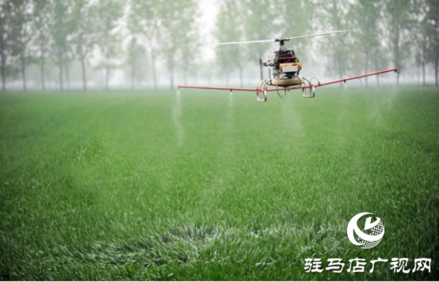 汝南縣梁祝鎮(zhèn)：植保無人機飛防 助力小麥生產(chǎn)豐收