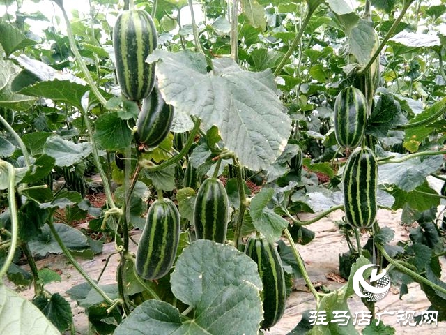 微信圖片_20200423103809.jpg