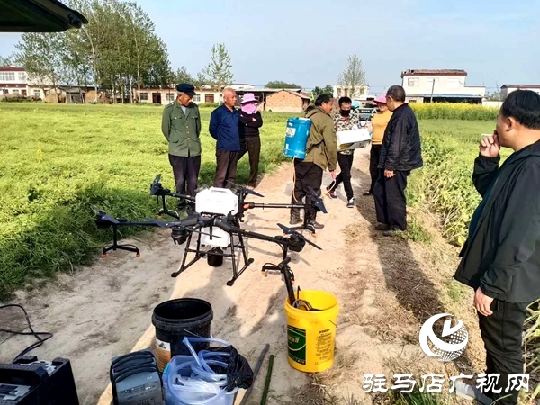 正陽(yáng)縣蘭青鄉(xiāng)多措并舉防蟲(chóng)害