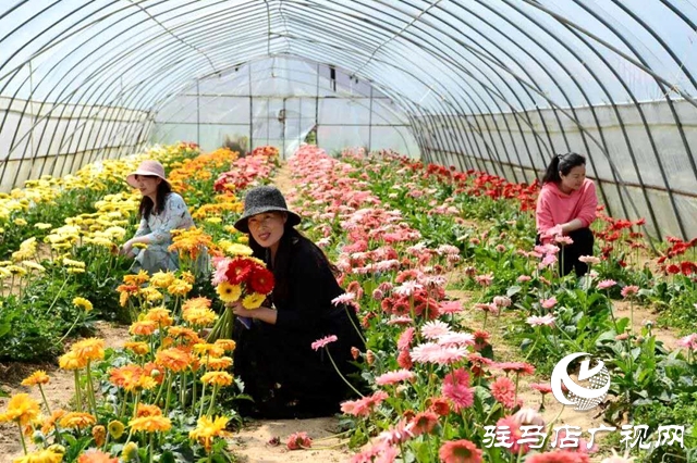 余長旺：下崗再創(chuàng)業(yè)，成就人生夢