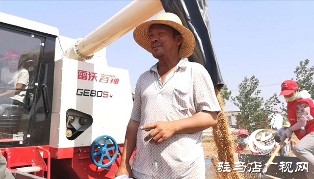 天福、新地花生集團(tuán)助農(nóng)收麥忙 三夏時(shí)節(jié)確保顆粒歸倉(cāng)