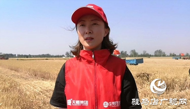 天福、新地花生集團(tuán)助農(nóng)收麥忙 三夏時(shí)節(jié)確保顆粒歸倉(cāng)