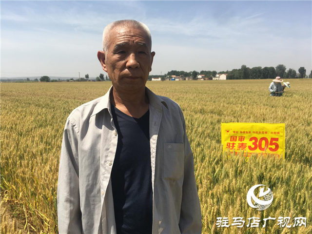 河南駐研種業(yè)開展育種基地田間檢驗
