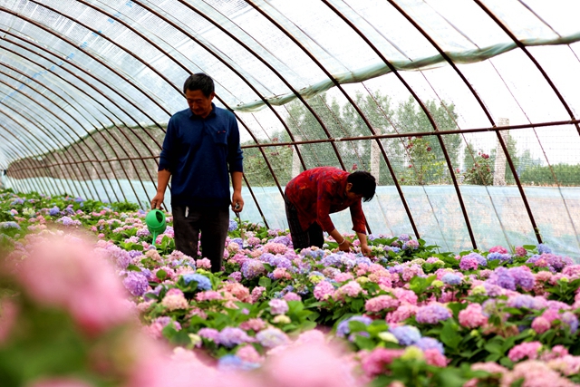 驛城區(qū)水屯鎮(zhèn)：小鎮(zhèn)文明建設(shè)催開幸?；▋?></a></p>
		                <div   id="kxi9bvwefu"   class=