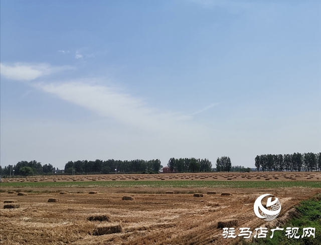 汝南縣王崗鎮(zhèn)：扎實(shí)推進(jìn)秸稈禁燒工作堅(jiān)決打贏(yíng)藍(lán)天保衛(wèi)戰(zhàn)