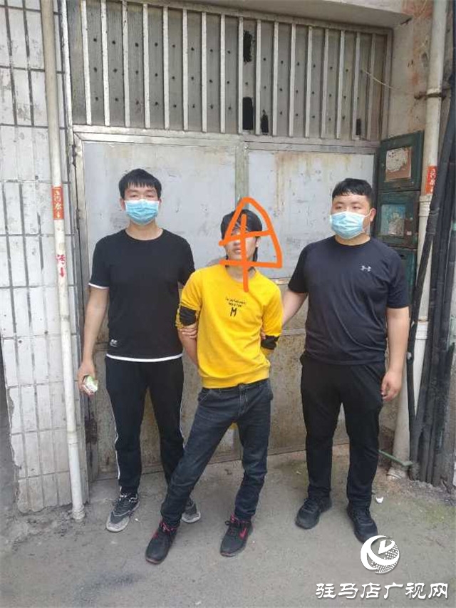 確山縣公安局雷霆出擊 14名犯罪嫌疑人盡數落網